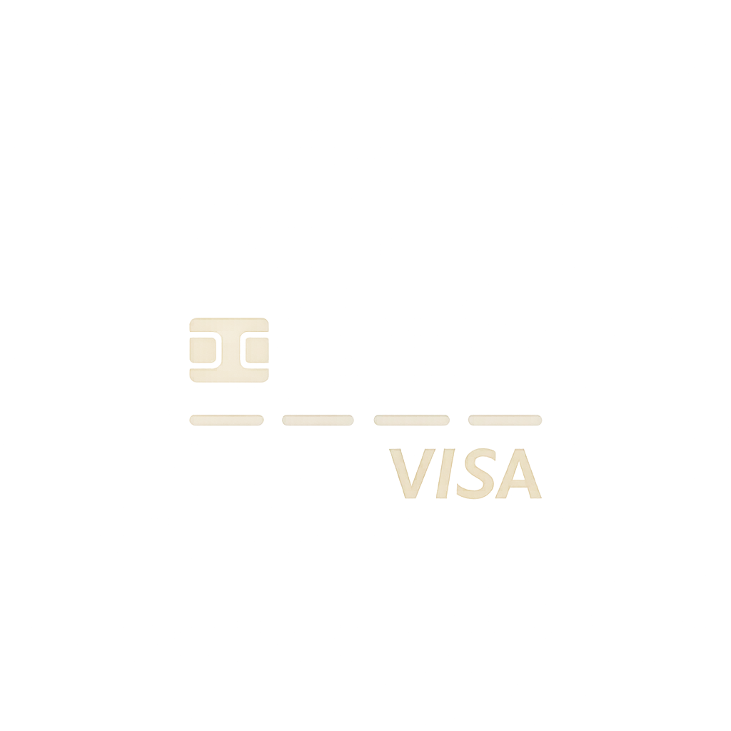 Visa card icon